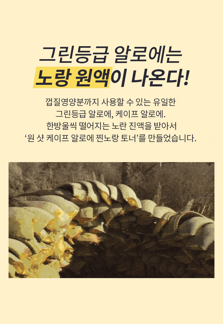 낫씨백 원 샷 케이프 알로에 250ml 상세 이미지 3